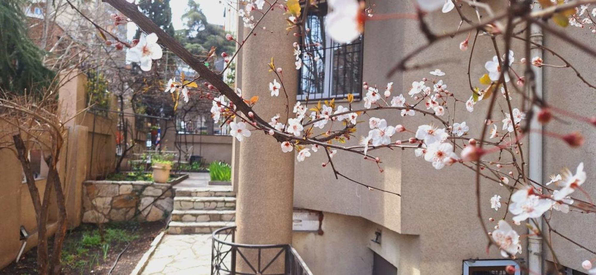 Iliani Hotel Tbilisi Zewnętrze zdjęcie