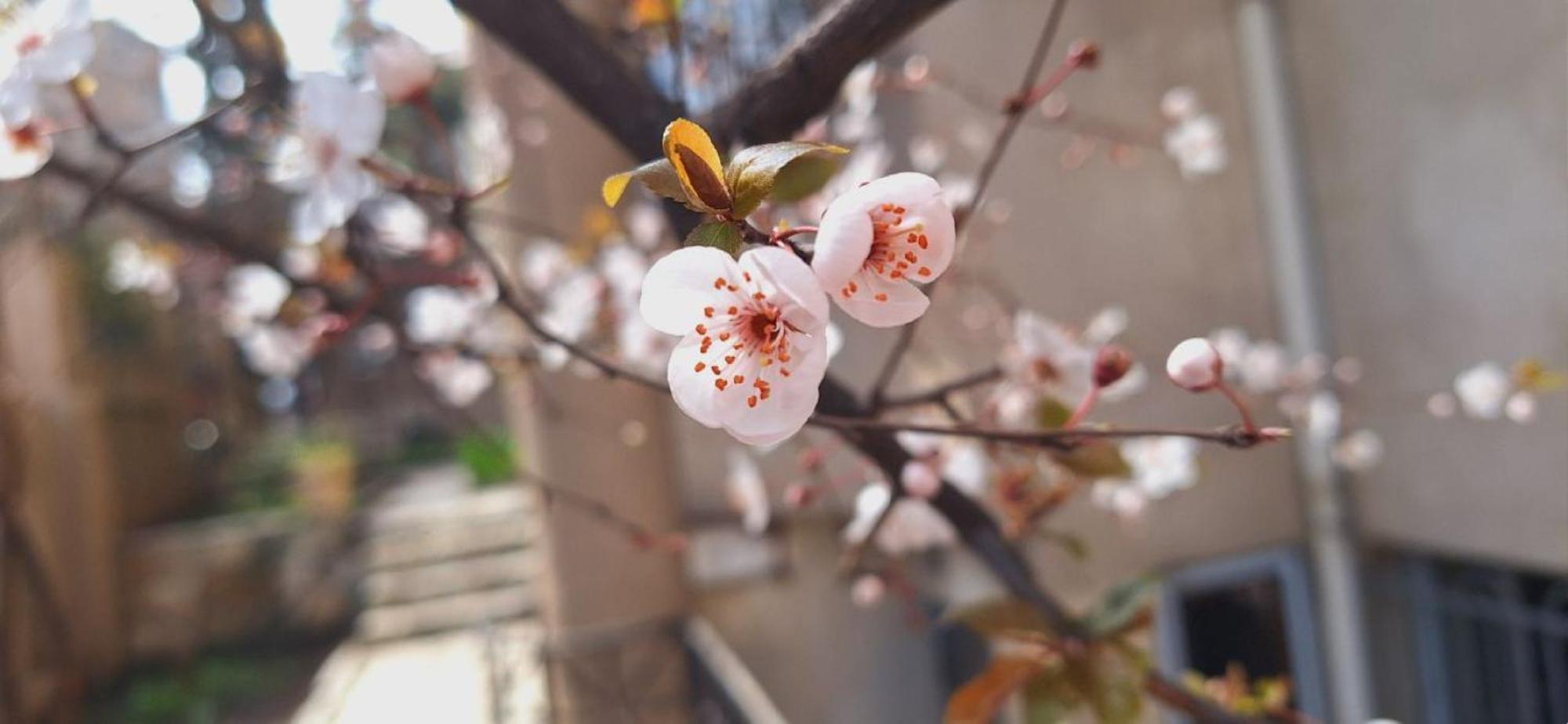 Iliani Hotel Tbilisi Zewnętrze zdjęcie